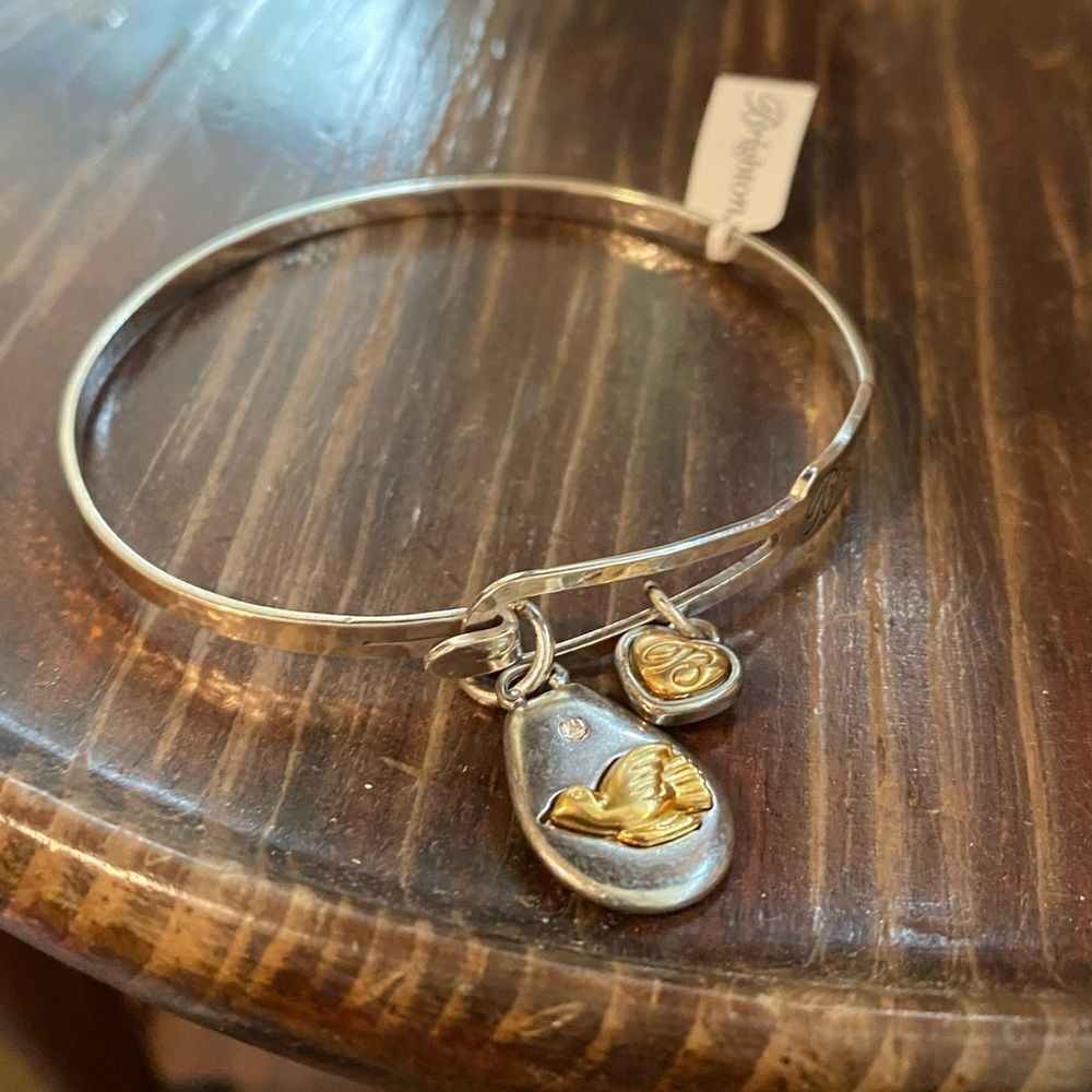 New‎ Brighton Art & Soul "Peace on Earth" Charm Silver Plated Bangle Bracelet - Picture 2 of 6